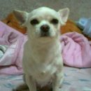 명순이네 이미지