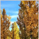 어린이대공원 이미지