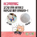 초당수학