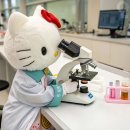 봄날김밥 이미지