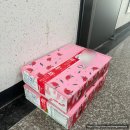 무지개농장 | [내돈내산] 도시농장 태국 마하차녹 무지개 망고 5kg | 후숙 보관 배송 후기