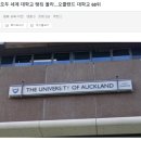 NZ 8개 종합대학교 모두 세계 대학교 랭킹 올라…오클랜드 대학교 68위 이미지