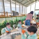 비봉초등학교 병설유치원 이미지