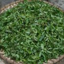 하루다과 이미지