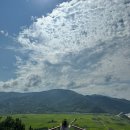 제다원초가집 | 차 / 하동 스타웨이, 최참판댁 촬영지, 박경리문학관, 사랑채, 매암제다원, 화개장터, 쌍계명차, 청운식당