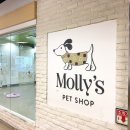 몰리스 놀이터/호텔 이미지