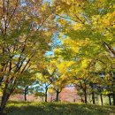 정발산공원 이미지