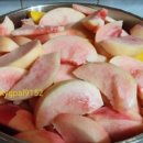 성일농원 이미지