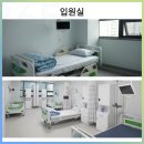 365하하병원 이미지