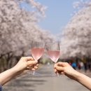 호텔 봄 이미지