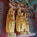 빛이나개 이미지