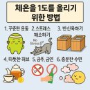 톡톡 체온다이어트