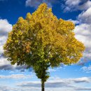 덕촌초등 병설 이미지