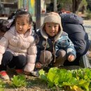 수니유치원 이미지