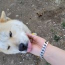 완주소양캠핑장 이미지