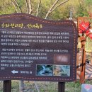 자연치유생태마을대티골사람들