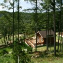 양촌자연휴양림 이미지