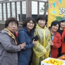 연합 농장 이미지