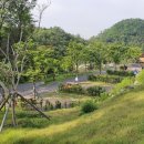 라인행정사 이미지