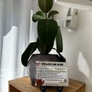 지에스25 달서하늘채 | [대구/키즈룸] 아기자기하고 편하게 놀기좋은 대구 달서구 키즈룸 &#34;꾸꾸노리터&#34; (주차,위치,예약) 조동...