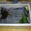 송림농장 이미지