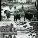 펜으로 그리는 세상 이미지