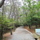 몰운대꼼장어 이미지