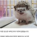 따봉 - 제주시 삼무로 40 | 따봉