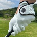 예산장갑 이미지