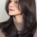 광주미용실 - 강진군 | 광주미용실