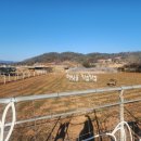 하빛율빠꿈사리 이미지