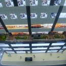 마곡열린약국 이미지