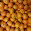 하림농장 이미지