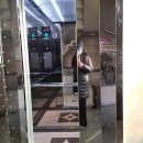 씨제이올리브영(주)광주518공원점 | 제법 봄의 분위기를 풍기던 이번 주