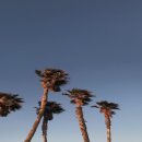 (중급) 생활요가 이미지