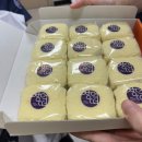 시랑병원내사랑상회 | 모기 너 진짜 죽고잡냐...