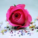(주)혜우 Daum카페