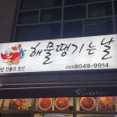 해물땡기는날 이미지