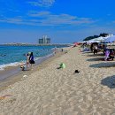 커피거리로 유명한 강릉 안목해수욕장 이미지