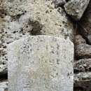 천미연대 이미지