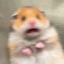필수상사