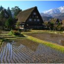 법원공인중개사사무소 이미지