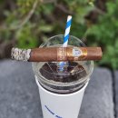 BRONZE(브론즈) 이미지