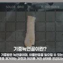 아너스티성형외과의원 이미지