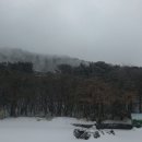 17.1월 정기산행 제주 어리목-영실,거문오름 이미지