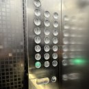 셀립 여의 이미지