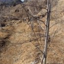 대호농장 이미지