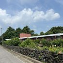 제주영숙 | [제주여행] 제주도 서귀포 숙소 남원읍 숙소 추천 ‘제주영숙’