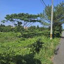 학사부동산중개사무소 이미지