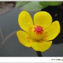 낭산다례원 이미지